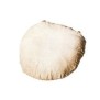Coussin Naan (Tandoor)